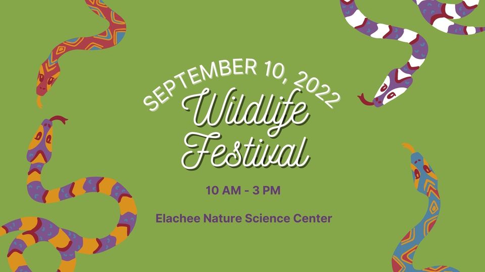 Wildlife Festival