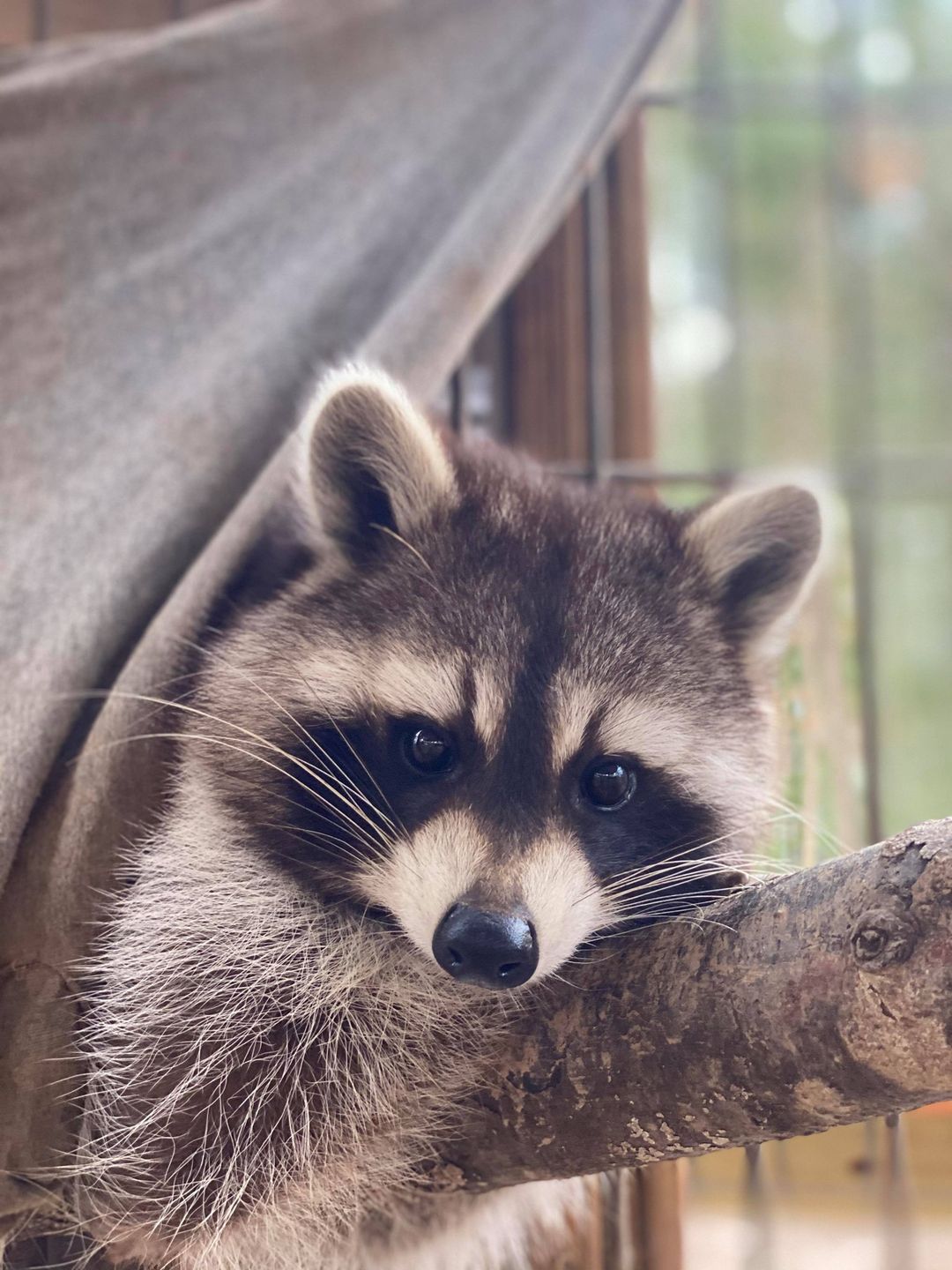 yellow river wildlife sanctuary