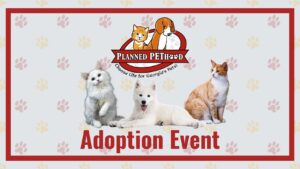 adoption-event
