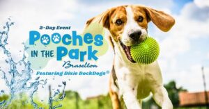 pooches in the park
