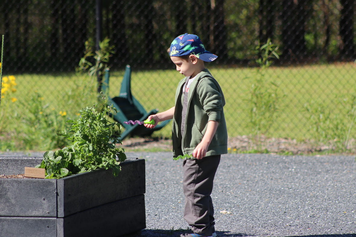 garden tales