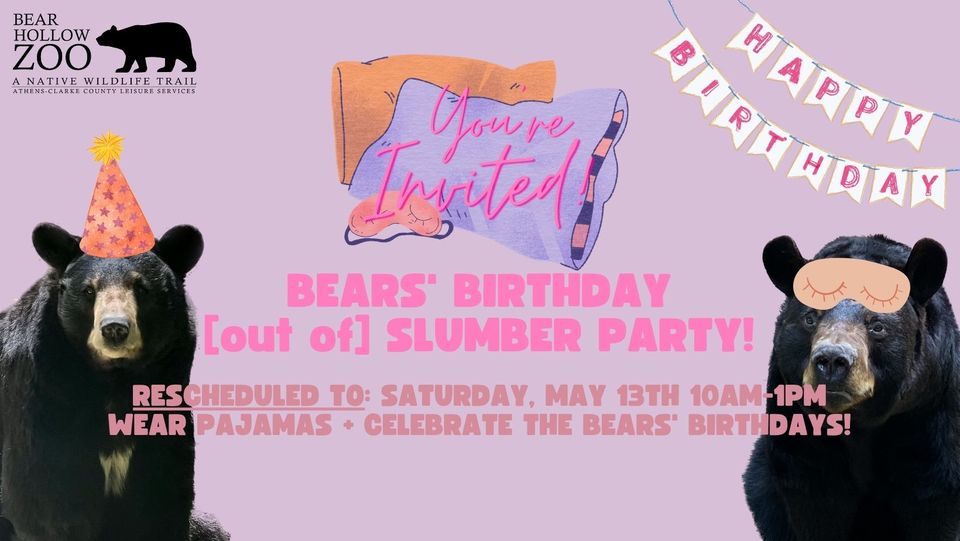 bears birthday bear hollow zoo