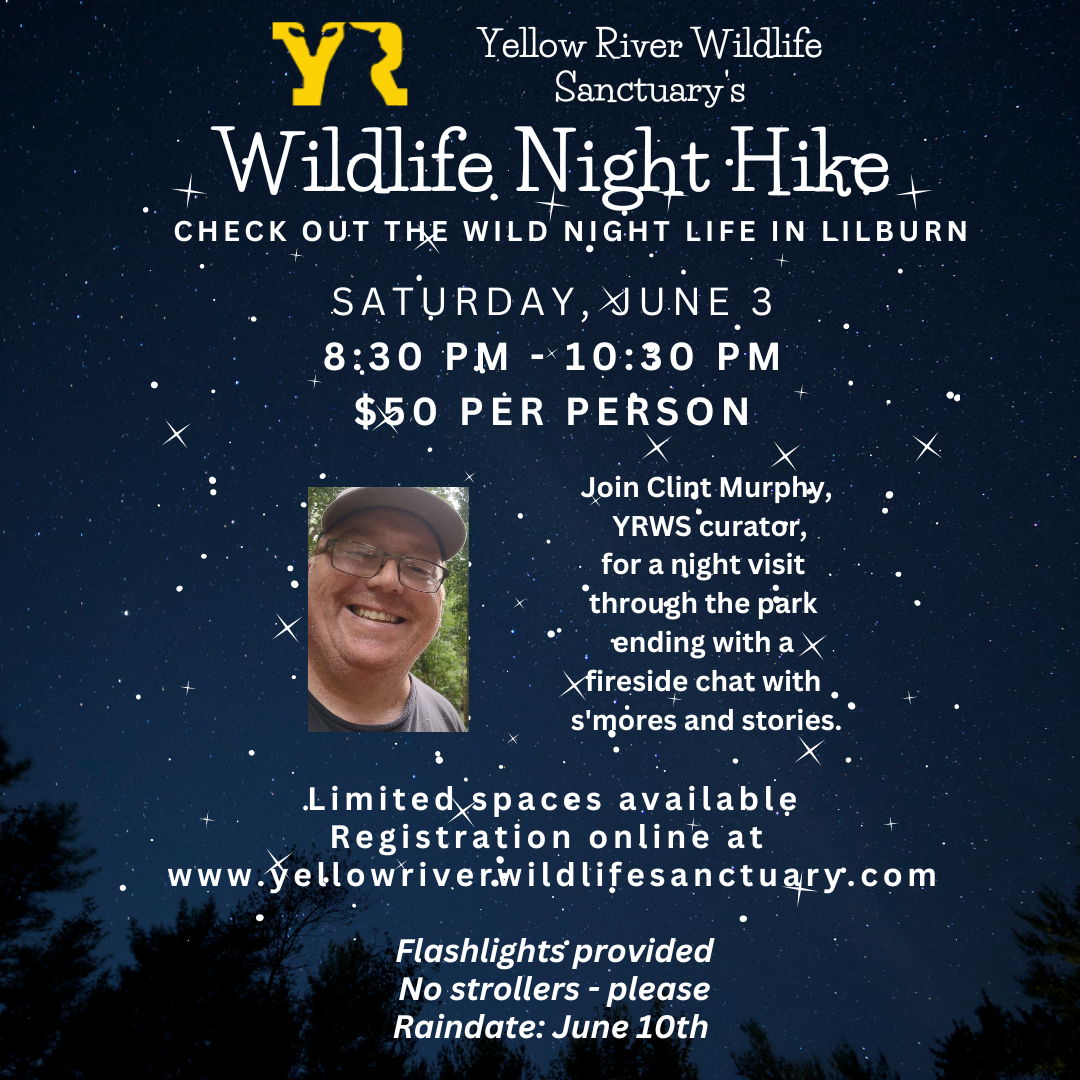 YRWS night hike