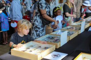 34th-annual-insectival