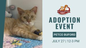 pet adopt july 27