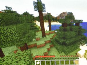 Minecraft (1)