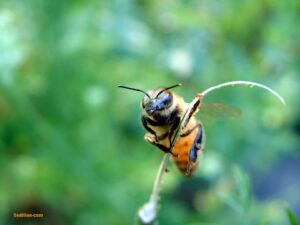 475743721_1137625658155882_7631683446375753392_n