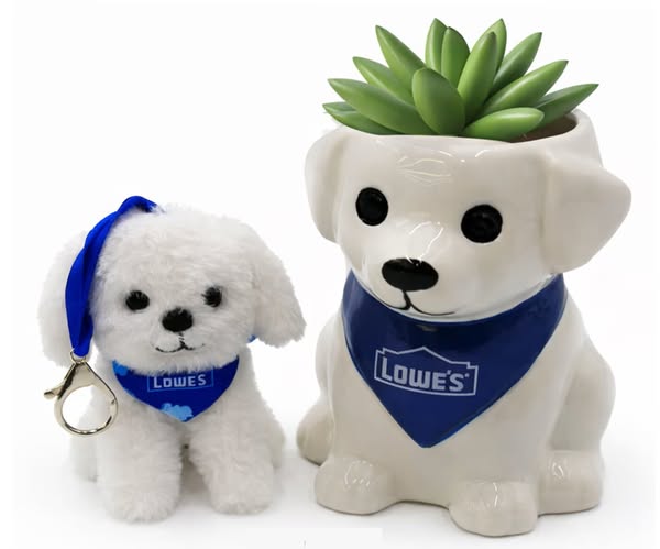 646427936_1511977523624833_7795756230534198262_n