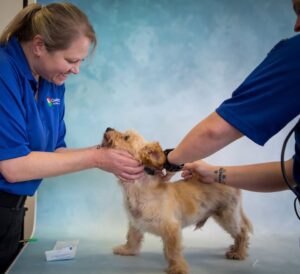 678323934_1260575569577038_5922968139087502988_n