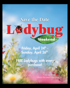 Untitled design - 2026-04-23T000626.298