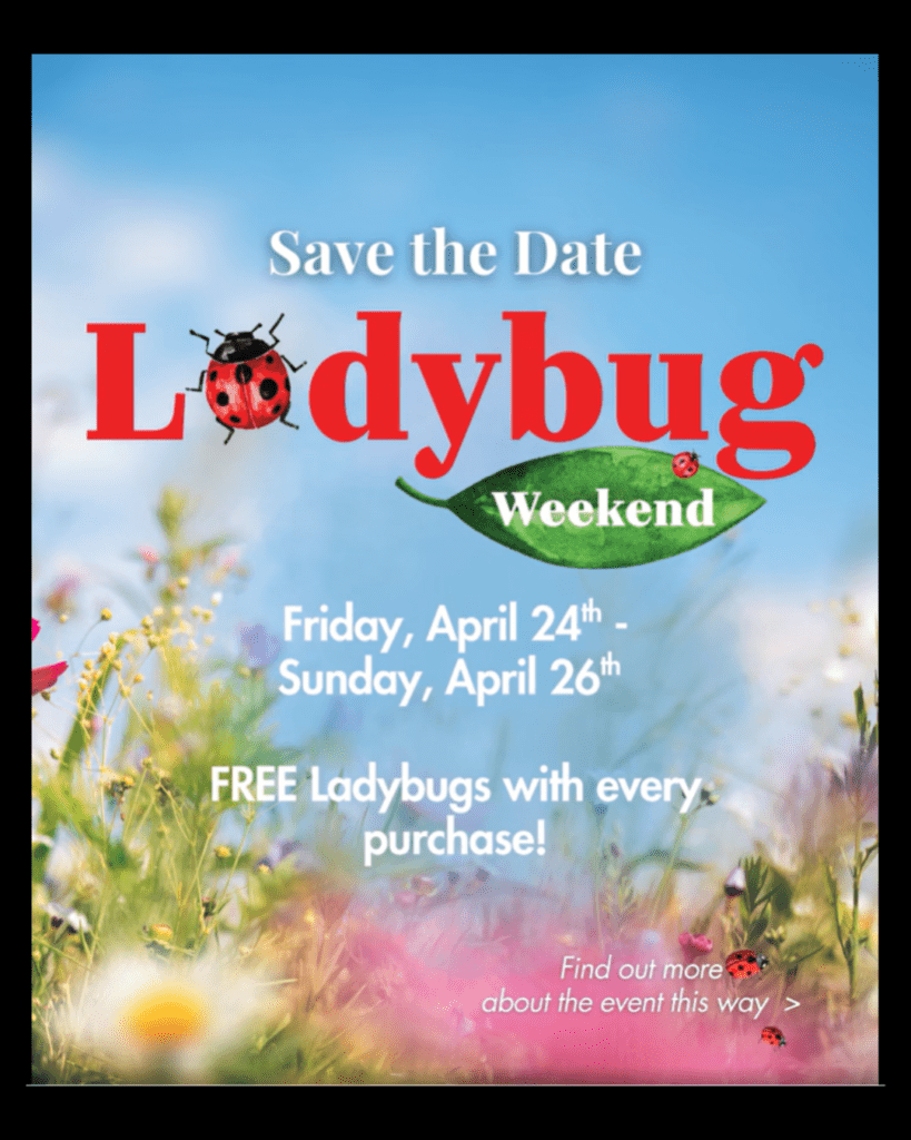 Untitled design - 2026-04-23T000626.298