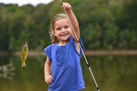 images - 2026-06-03T095429.483