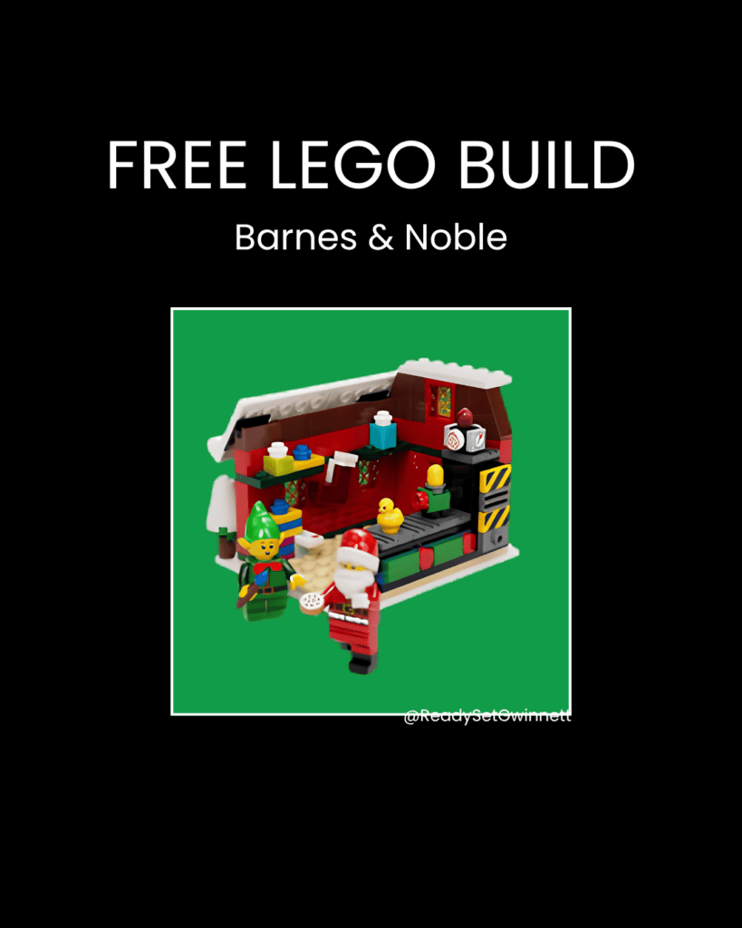 lego build b & n (2)